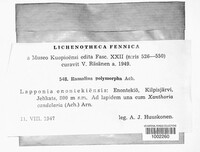 Image Associated With the Occurence